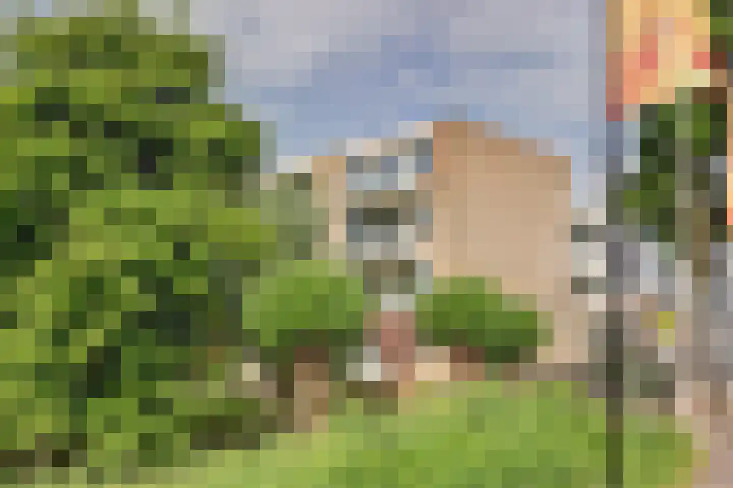 Raadhuislaan 89 Spijkenisse thumbnail 39
