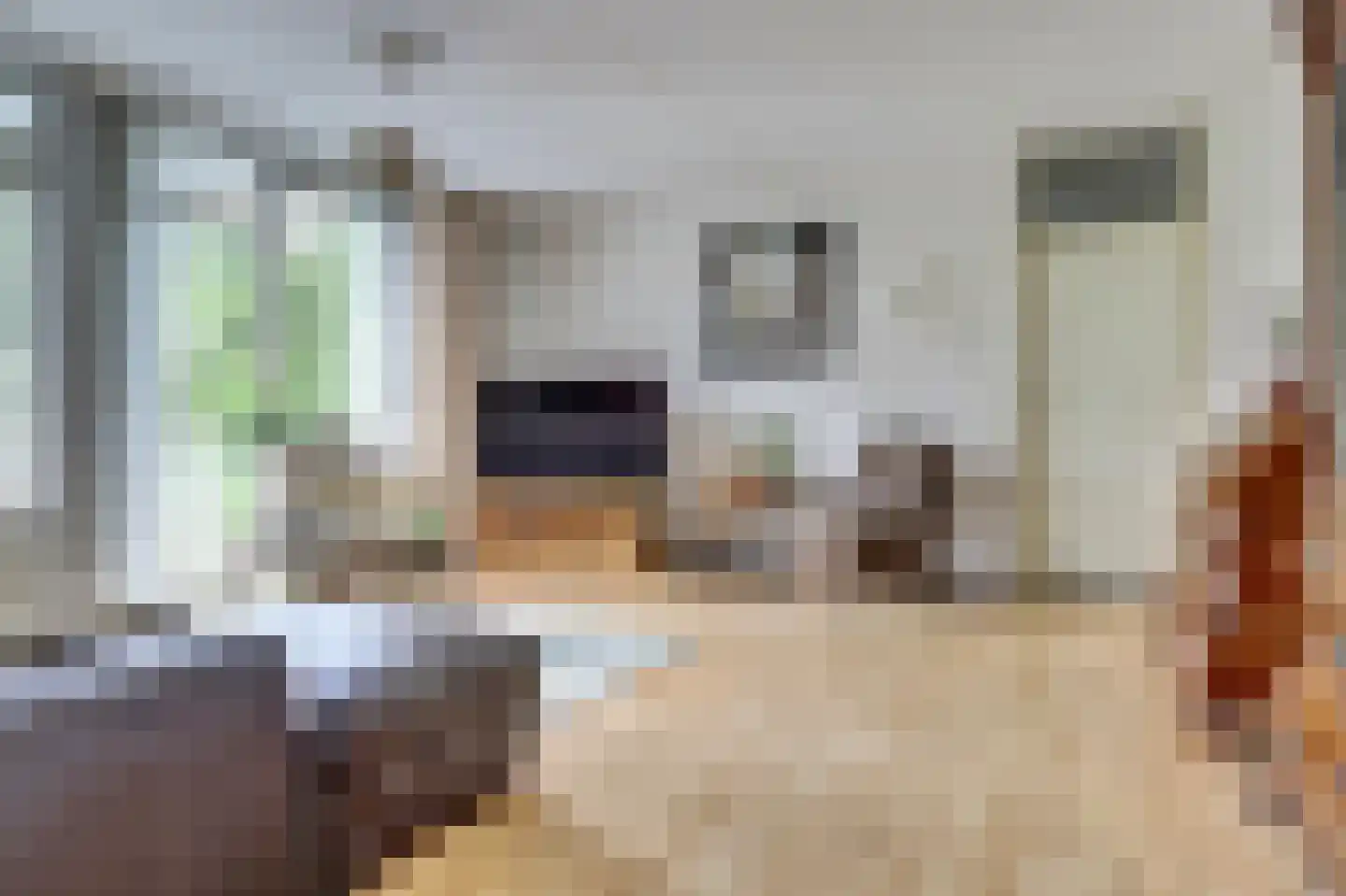 Raadhuislaan 89 Spijkenisse thumbnail 4