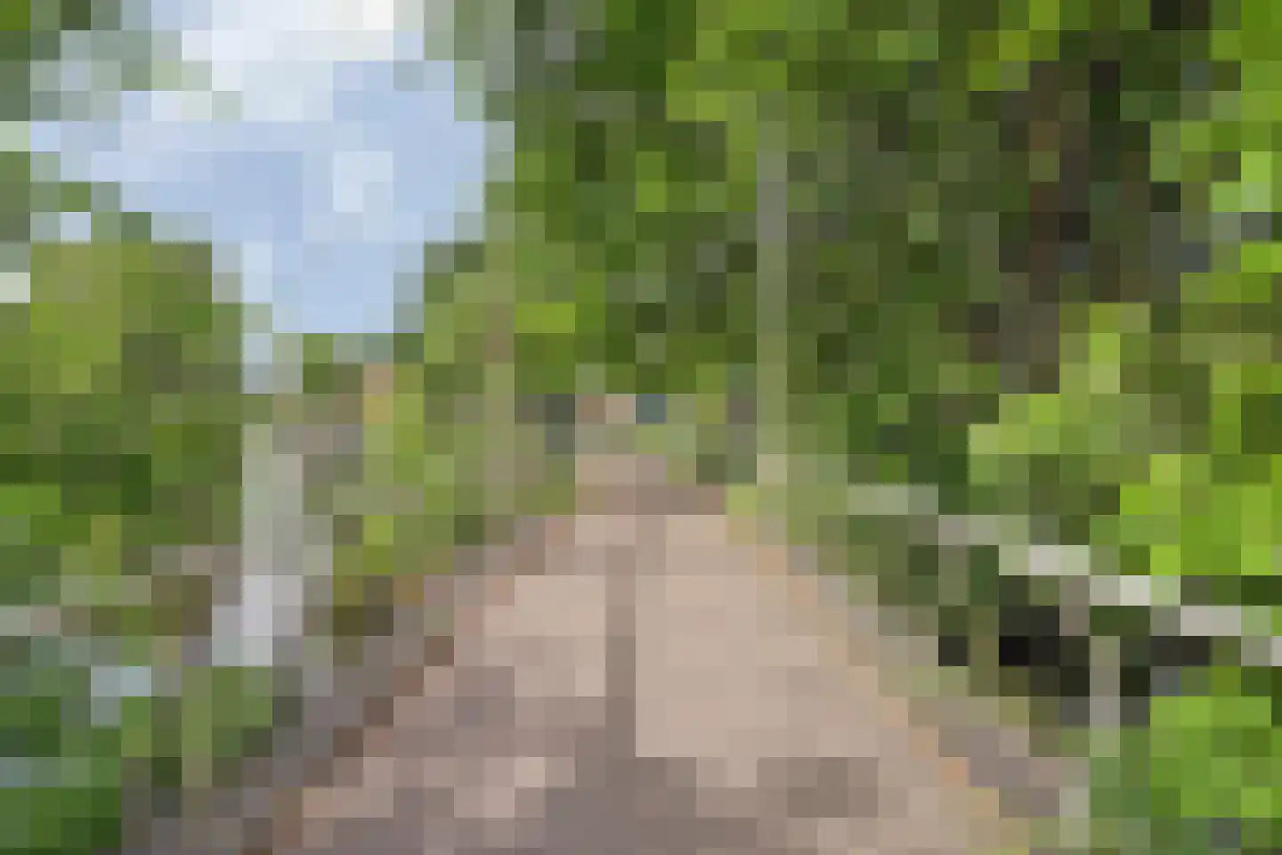 Raadhuislaan 89 Spijkenisse thumbnail 40