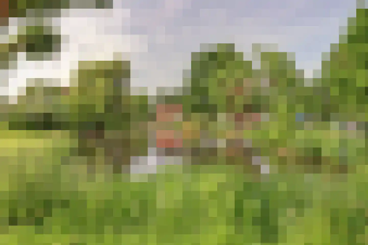 Raadhuislaan 89 Spijkenisse thumbnail 42