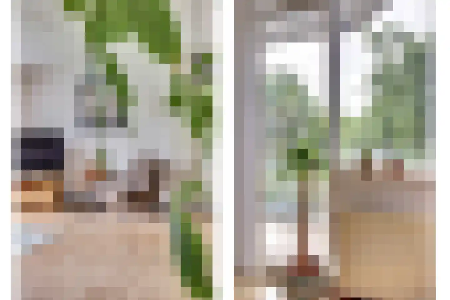 Raadhuislaan 89 Spijkenisse thumbnail 8