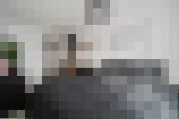 Raadhuislaan 90 Spijkenisse thumbnail 11