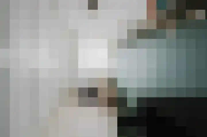 Raadhuislaan 90 Spijkenisse thumbnail 12