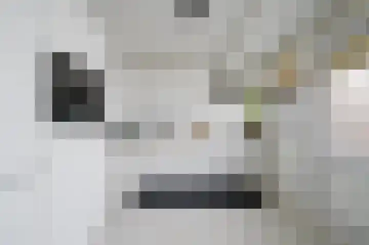 Raadhuislaan 90 Spijkenisse thumbnail 15