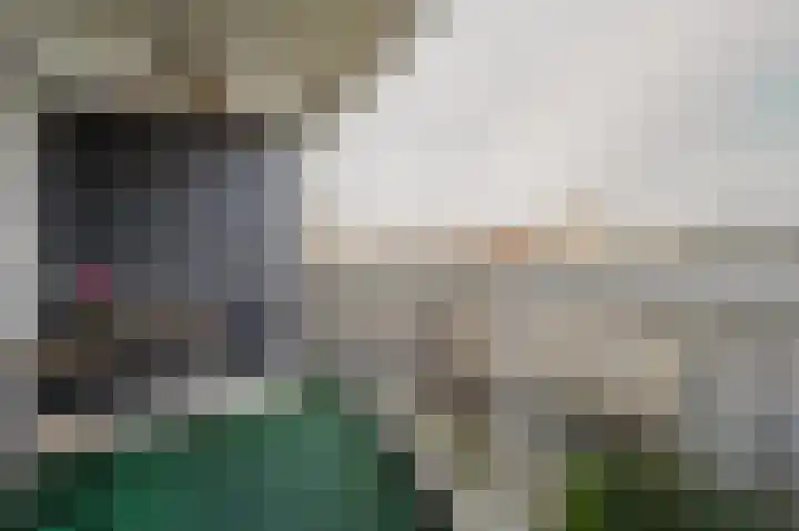 Raadhuislaan 90 Spijkenisse thumbnail 16