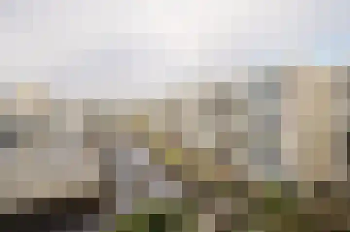 Raadhuislaan 90 Spijkenisse thumbnail 17