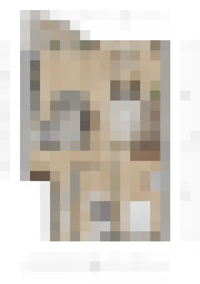 Raadhuislaan 90 Spijkenisse thumbnail 8