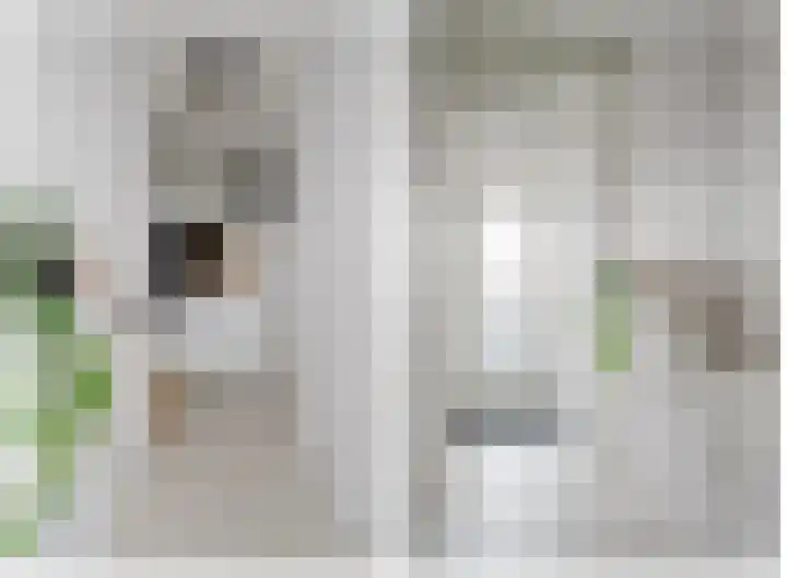 Raadhuislaan 90 Spijkenisse thumbnail 9