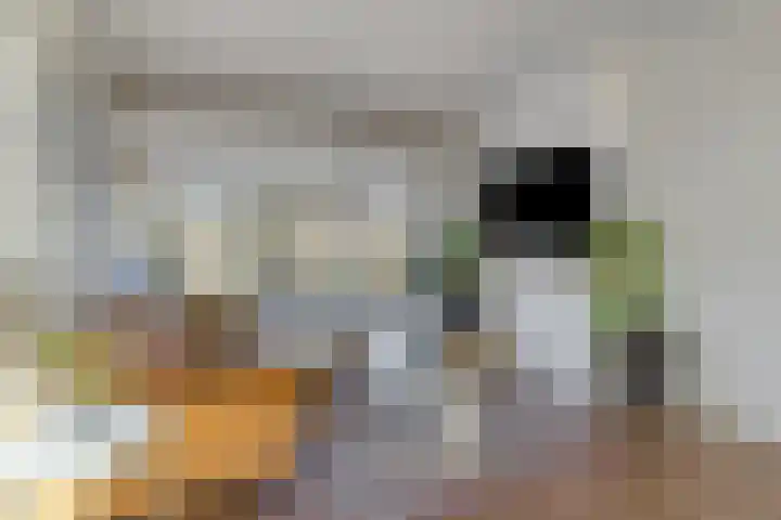 Raadhuislaan 92 Voorschoten thumbnail 12