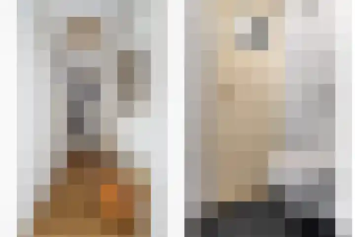 Raadhuislaan 92 Voorschoten thumbnail 5