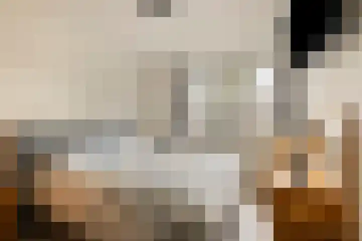 Raadhuislaan 93 Oss thumbnail 10