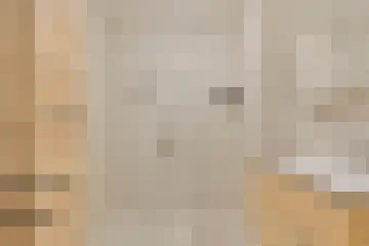 Raadhuislaan 93 Oss thumbnail 13