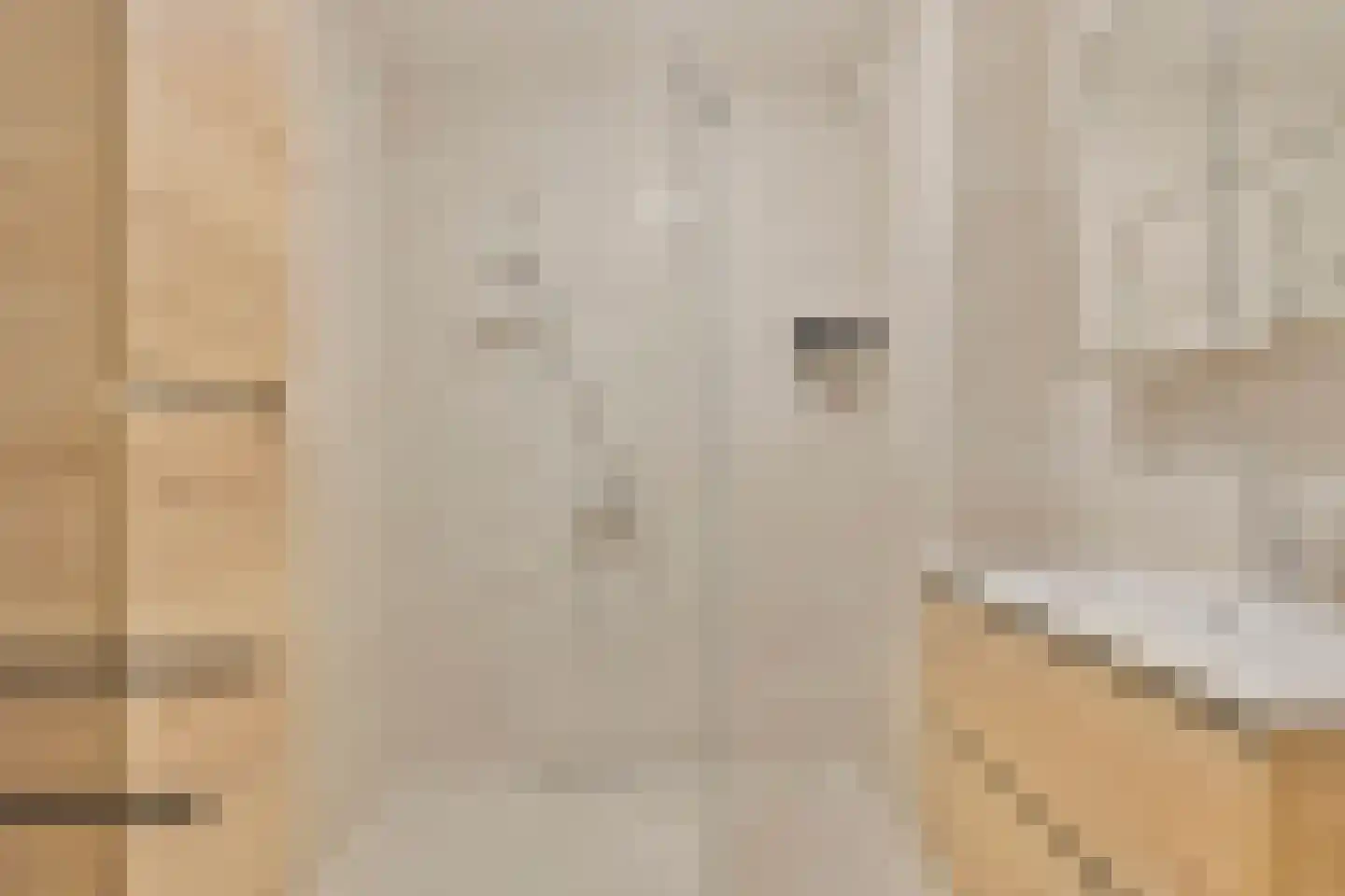Raadhuislaan 93 Oss thumbnail 13