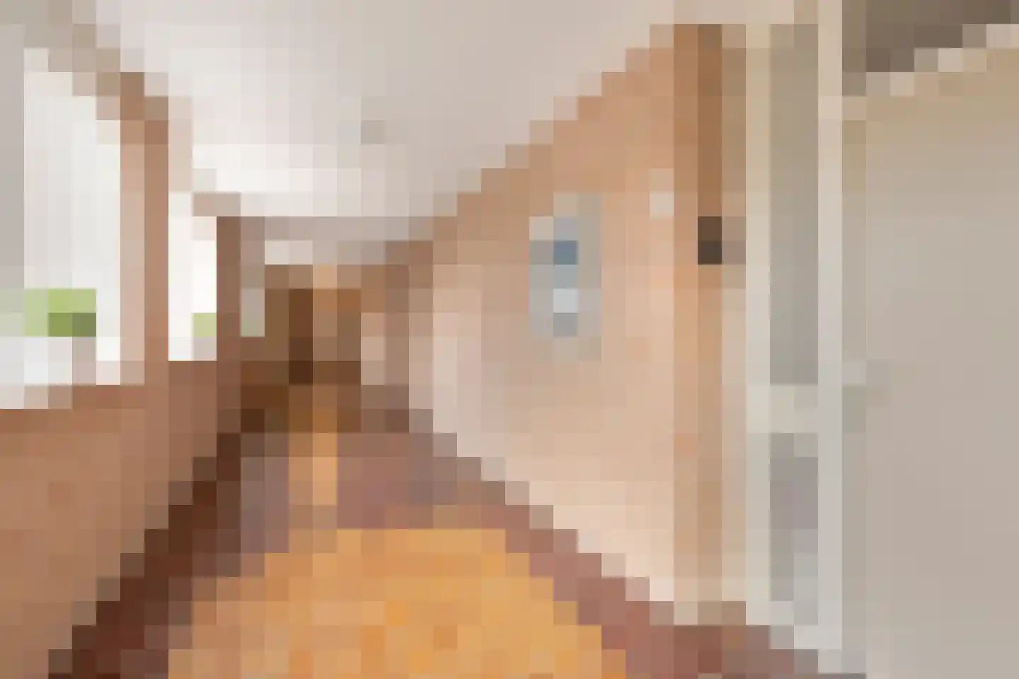 Raadhuislaan 93 Oss thumbnail 17