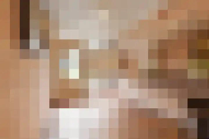 Raadhuislaan 93 Oss thumbnail 19