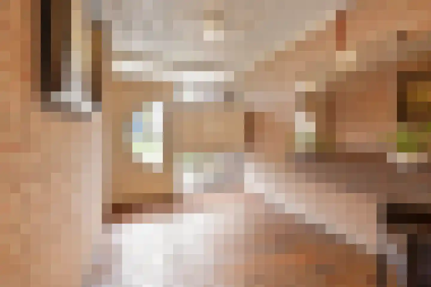 Raadhuislaan 93 Oss thumbnail 19