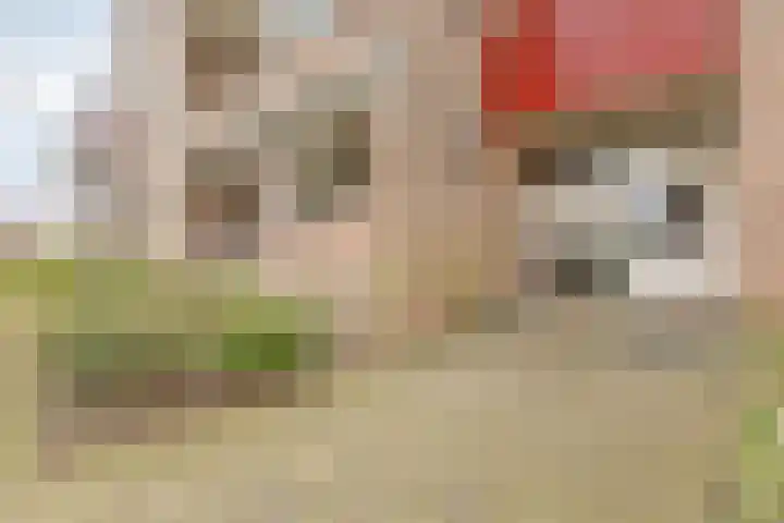 Raadhuislaan 93 Oss thumbnail 22