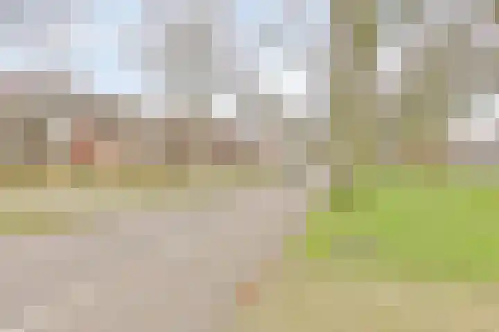 Raadhuislaan 93 Oss thumbnail 25