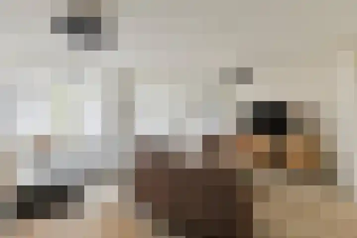 Raadhuislaan 93 Oss thumbnail 4