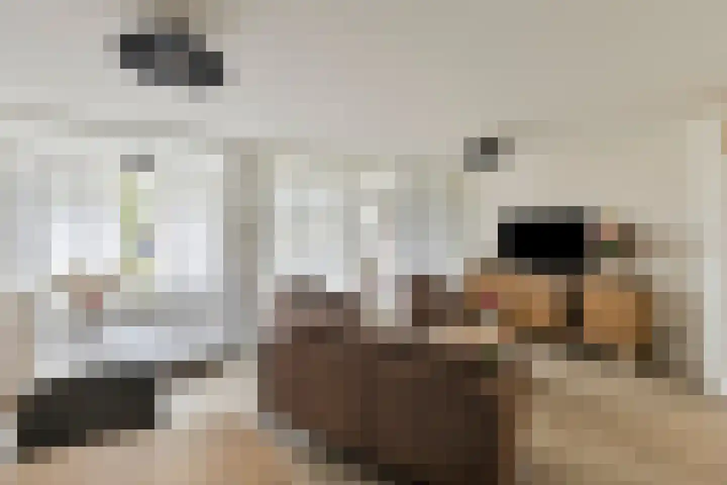 Raadhuislaan 93 Oss thumbnail 4