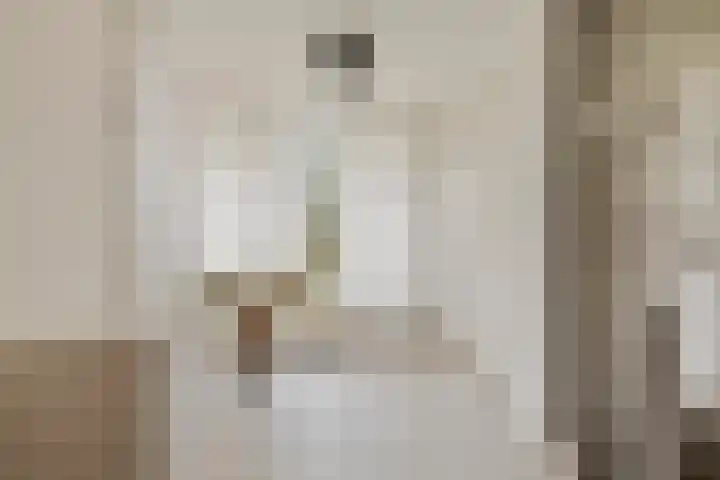 Raadhuislaan 93 Oss thumbnail 6