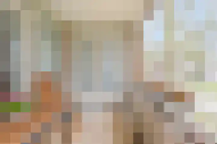 Raadhuislaan 93 Oss thumbnail 7