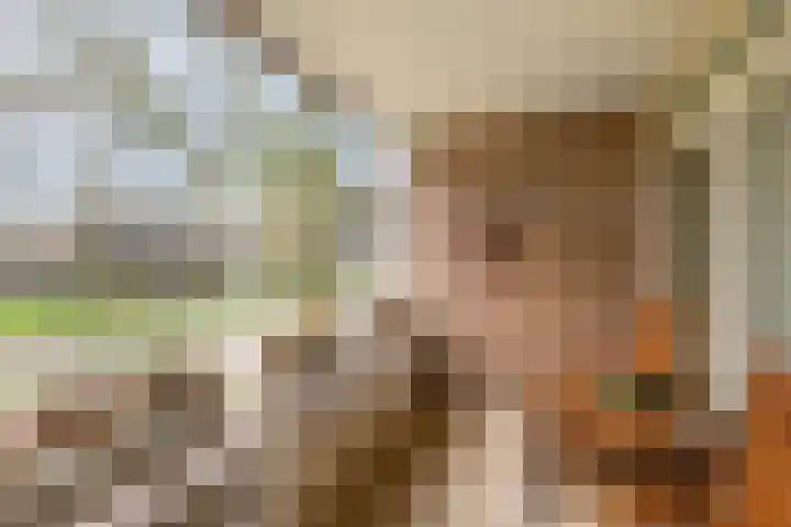 Raadhuislaan 93 Oss thumbnail 8