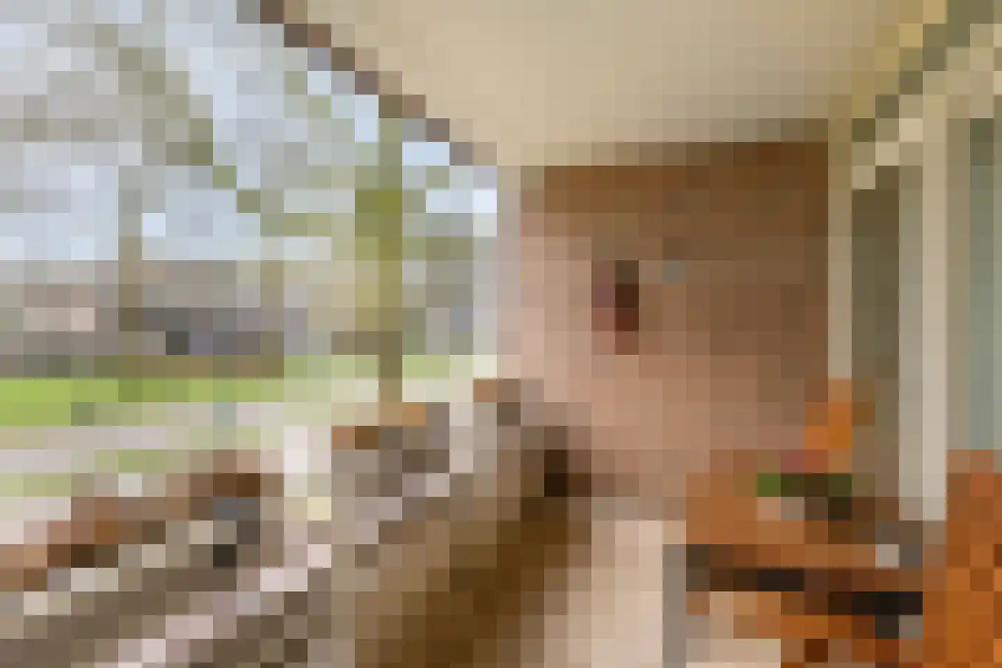 Raadhuislaan 93 Oss thumbnail 8