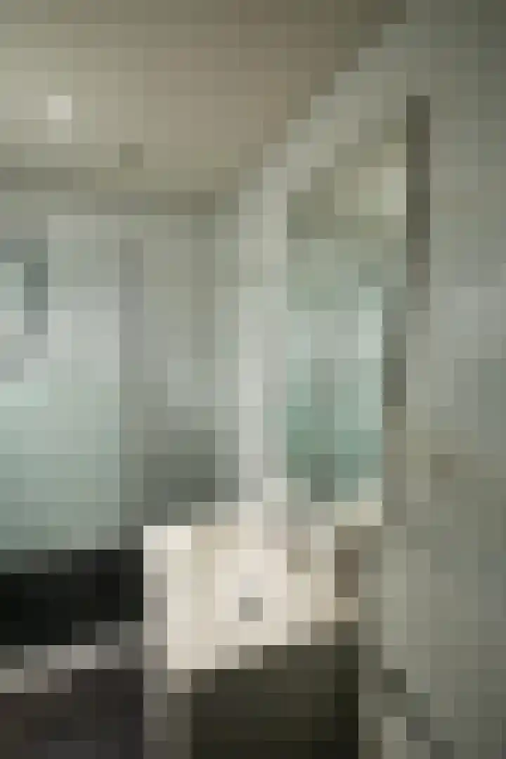 Raadhuislaan 94 Spijkenisse thumbnail 17
