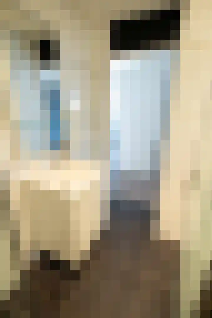 Raadhuislaan 94 Spijkenisse thumbnail 18