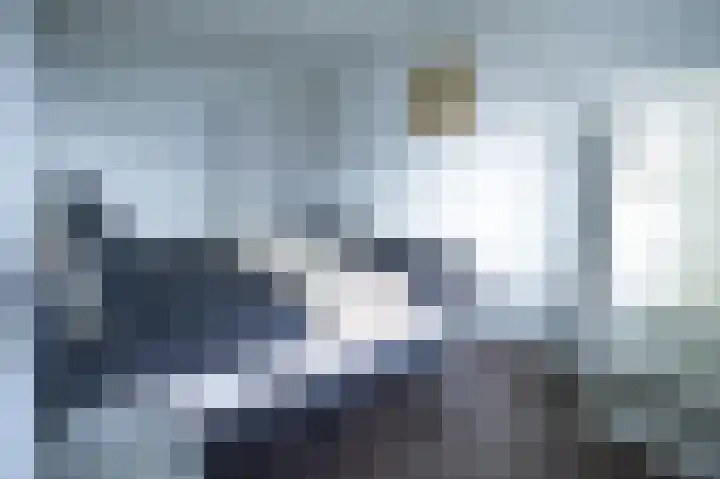 Raadhuislaan 94 Spijkenisse thumbnail 20