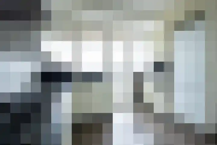 Raadhuislaan 94 Spijkenisse thumbnail 24