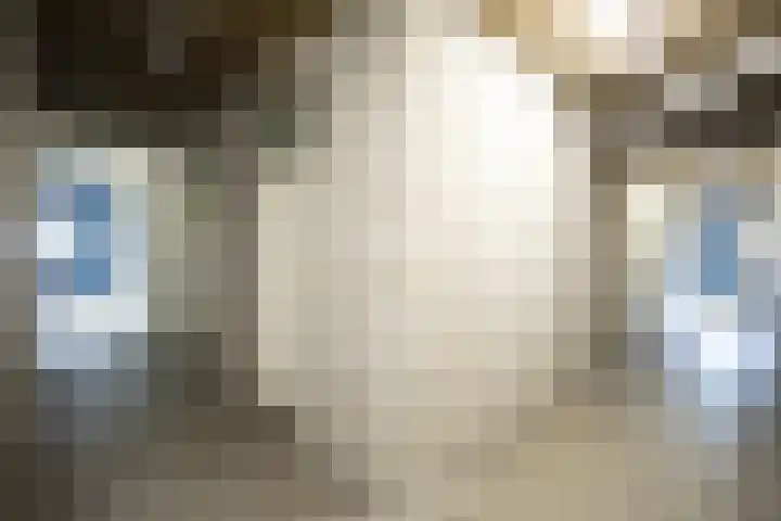 Raadhuislaan 94 Spijkenisse thumbnail 28
