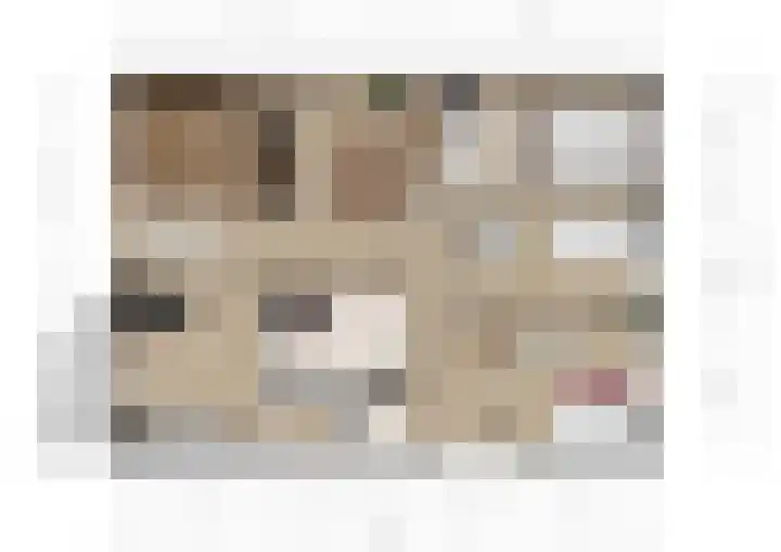 Raadhuislaan 94 Spijkenisse thumbnail 9