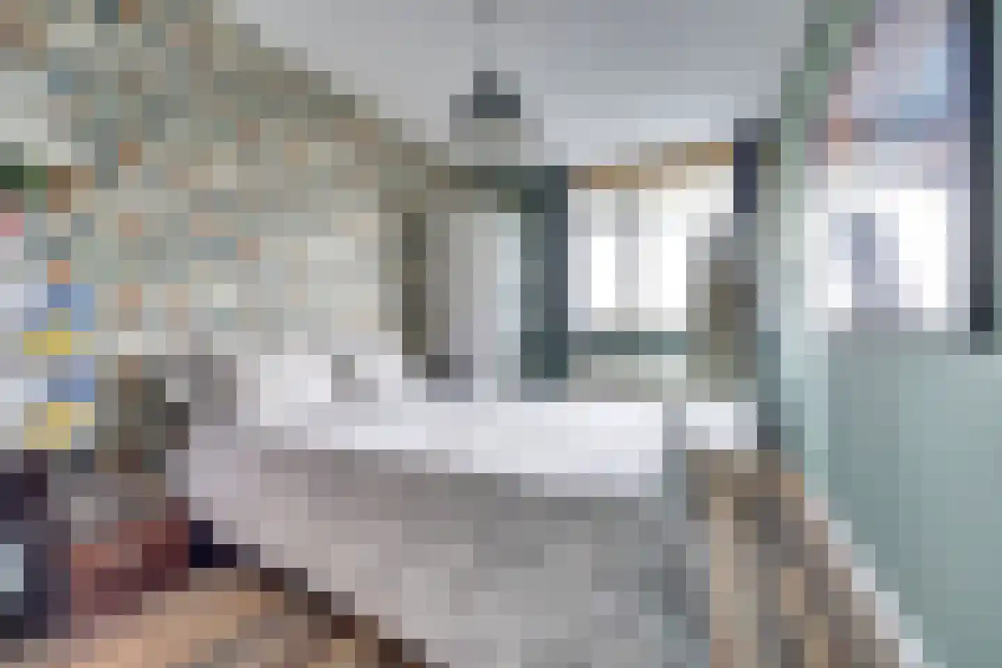 Raadhuislaan 98 Spijkenisse thumbnail 12