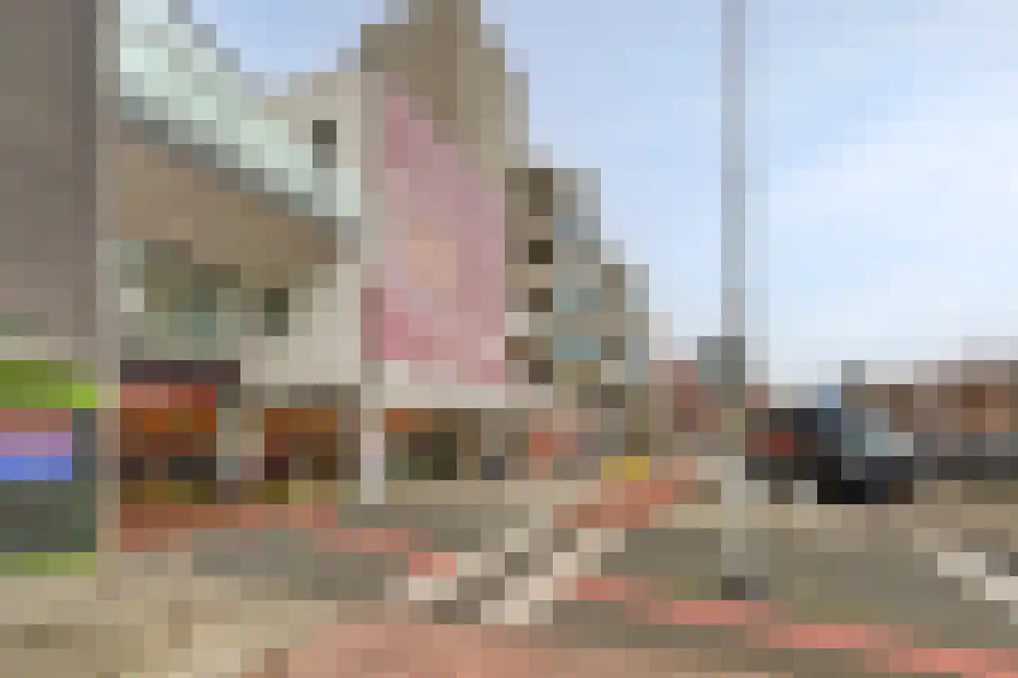 Raadhuislaan 98 Spijkenisse thumbnail 25
