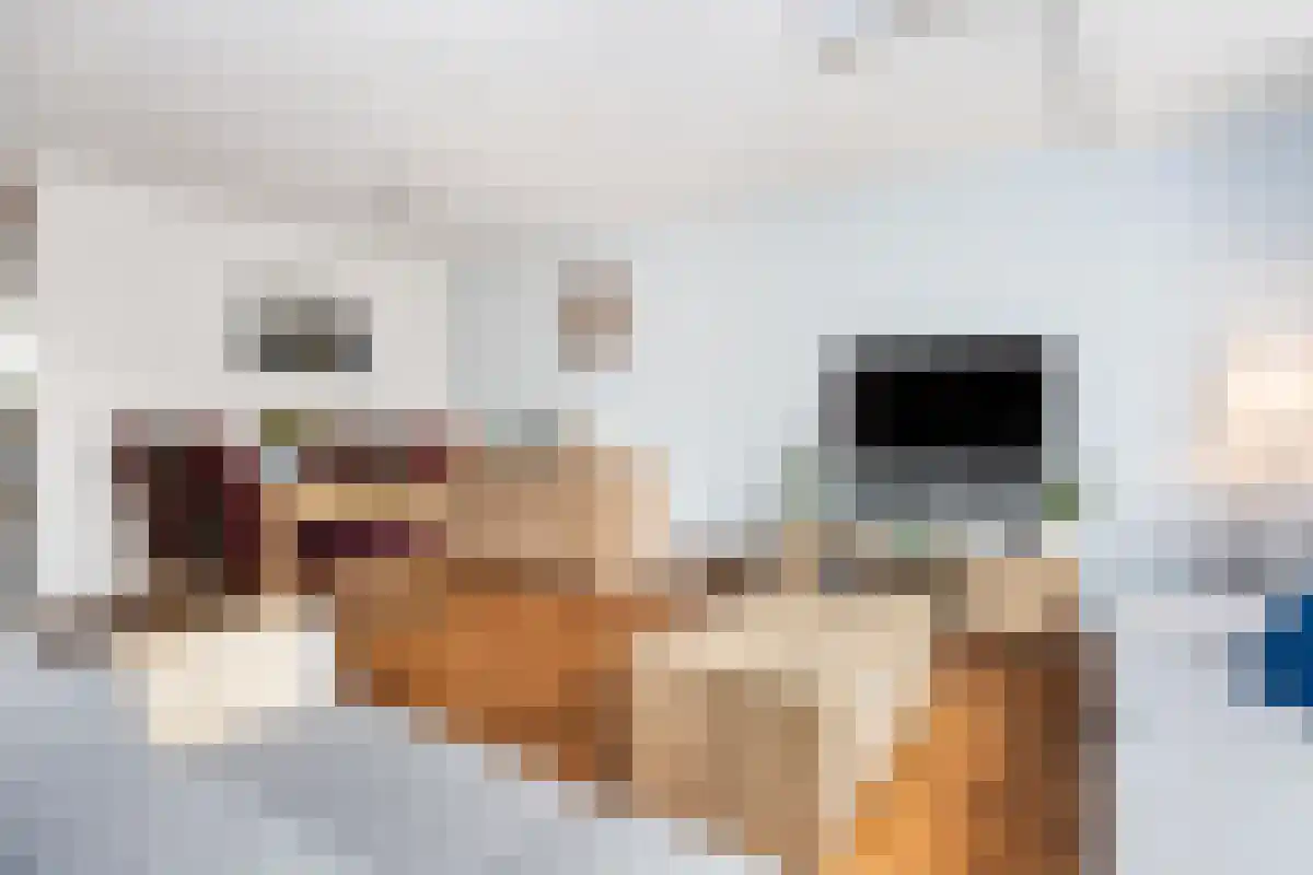 Raadhuislaan Spijkenisse thumbnail 4