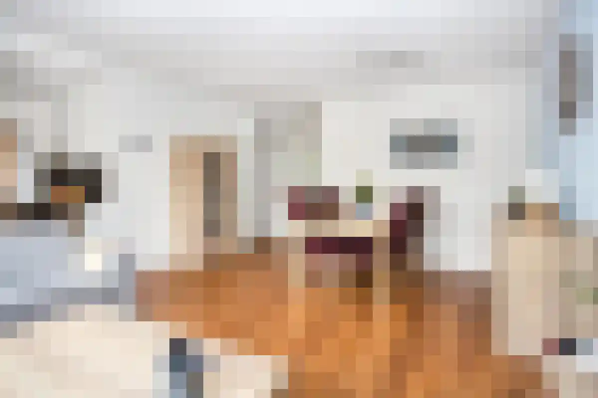 Raadhuislaan Spijkenisse thumbnail 6
