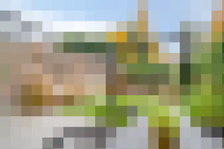 Raadhuispark 14 Beek foto 2