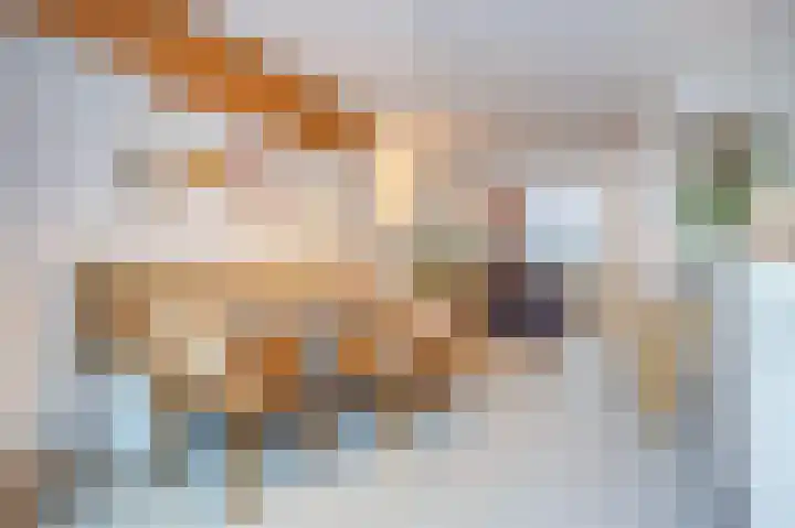 Raadhuispark 14 Beek thumbnail 20