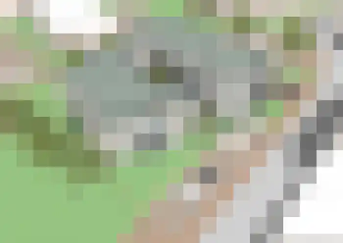 Raadhuispark 2 Beek thumbnail 7