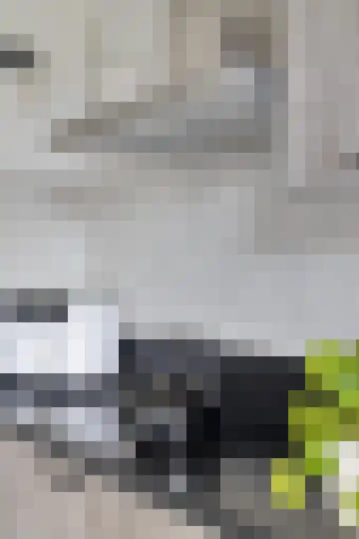 Raadhuispark 20 Beek thumbnail 16