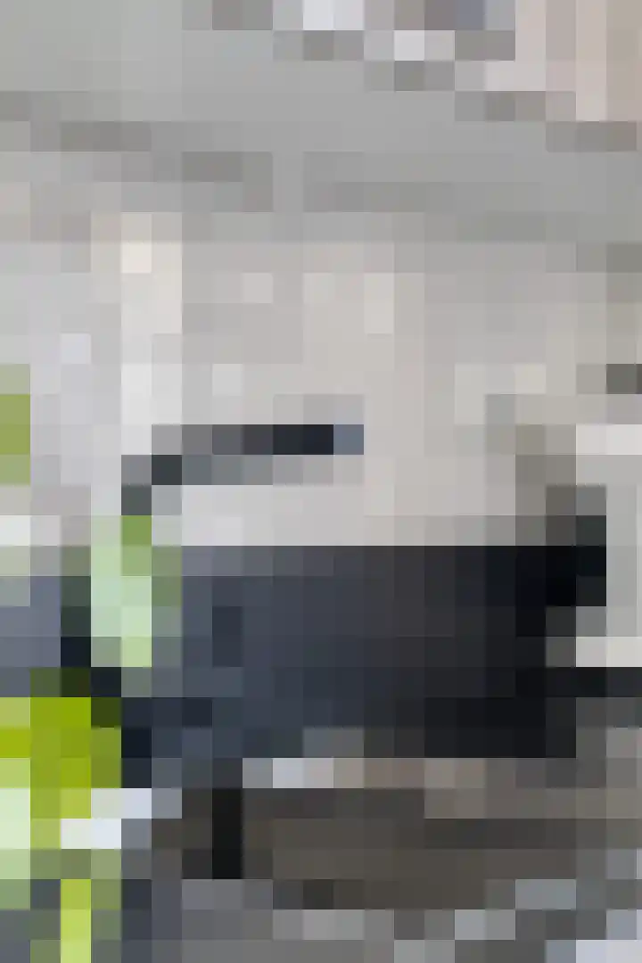 Raadhuispark 20 Beek thumbnail 17