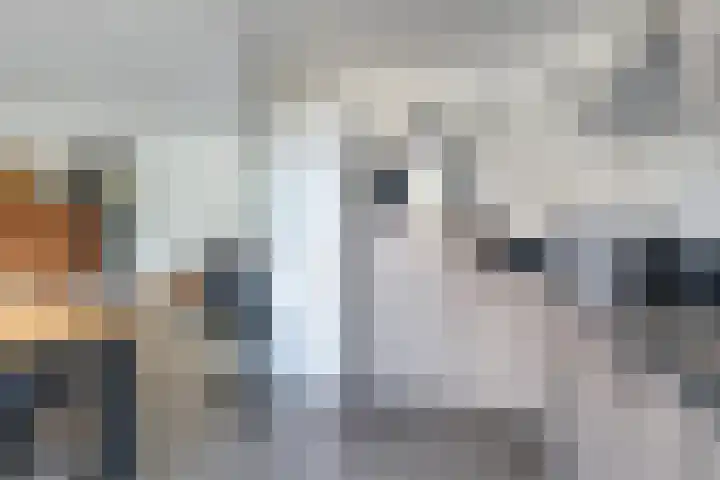 Raadhuispark 20 Beek thumbnail 18