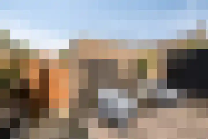 Raadhuispark 20 Beek thumbnail 22