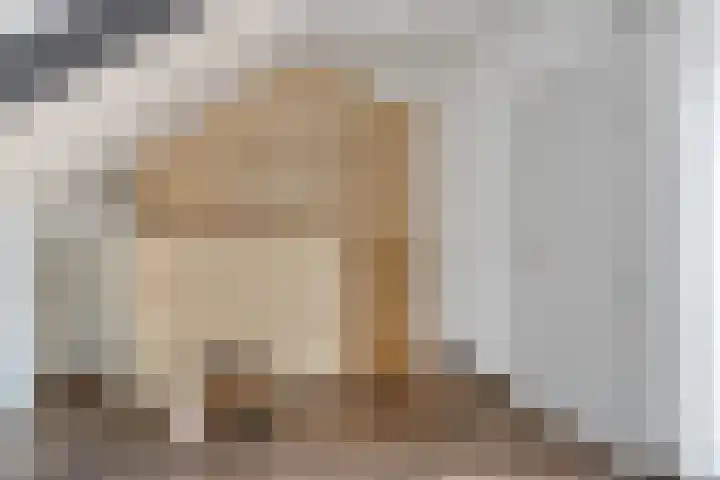 Raadhuispark 20 Beek thumbnail 33