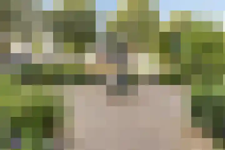 Raadhuispark 20 Beek thumbnail 42