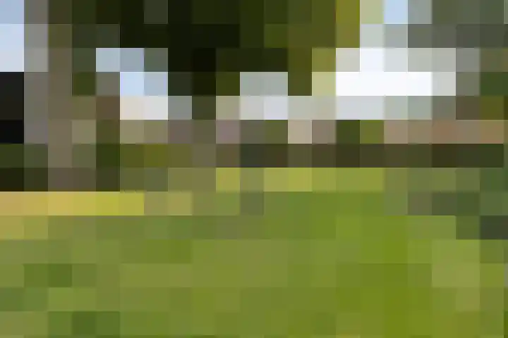 Raadhuispark 20 Beek thumbnail 43
