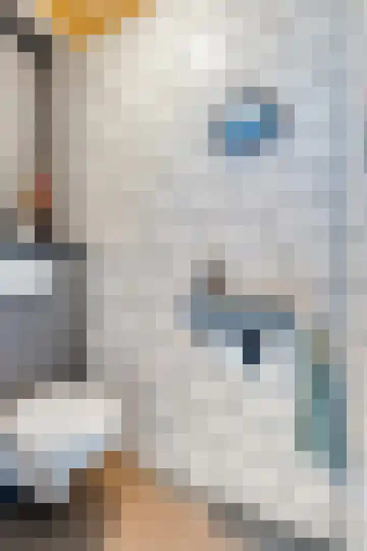 Raadhuispark 20 Beek thumbnail 8