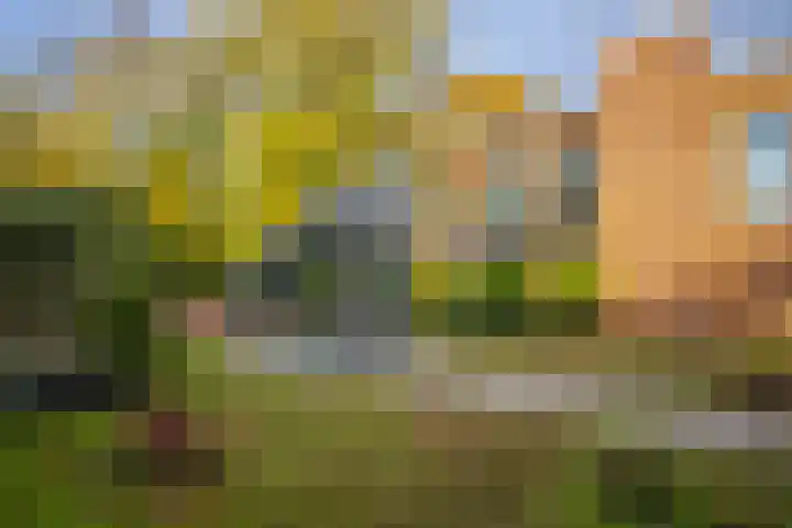Raadhuisplein 1 02 Zevenaar thumbnail 13